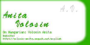 anita volosin business card